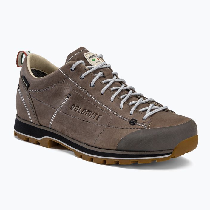 Vyriški Dolomite 54 Low FG GTX trekingo batai rudi 247959-1927 10