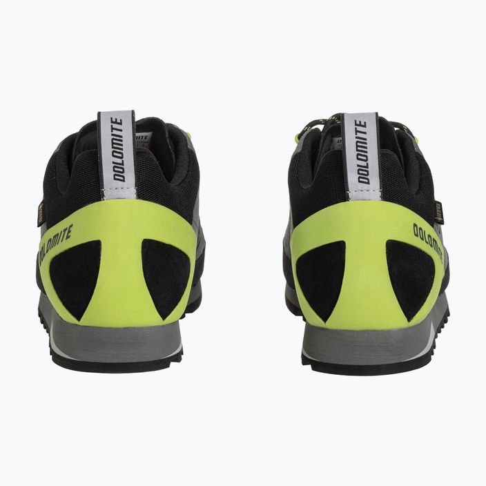 Vyriški Dolomite Crodarossa Low GTX artėjimo batai green 289243 13