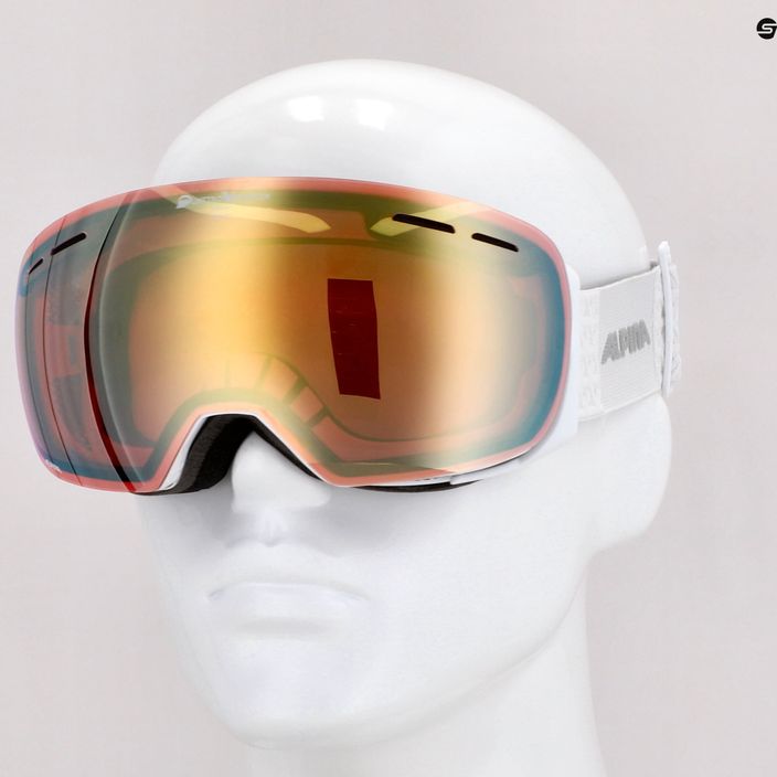 Alpina Granby QV balti blizgūs auksiniai slidinėjimo akiniai 5