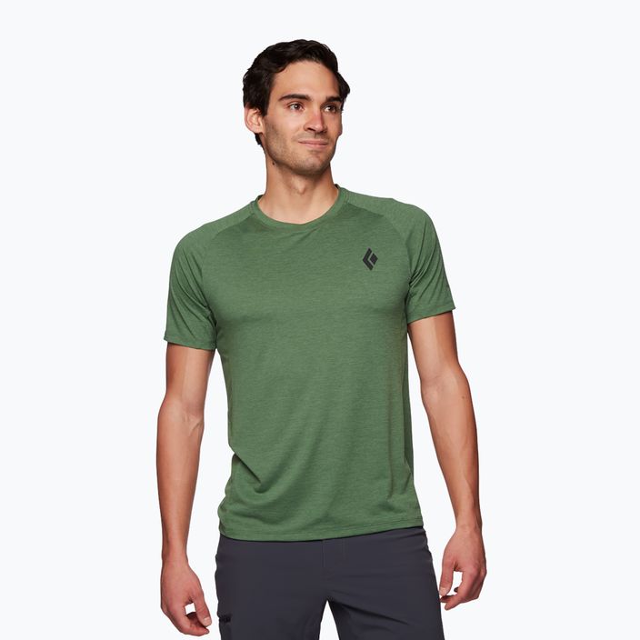 Vyriški trekingo marškinėliai Black Diamond Lightwire Tech arbor green 2