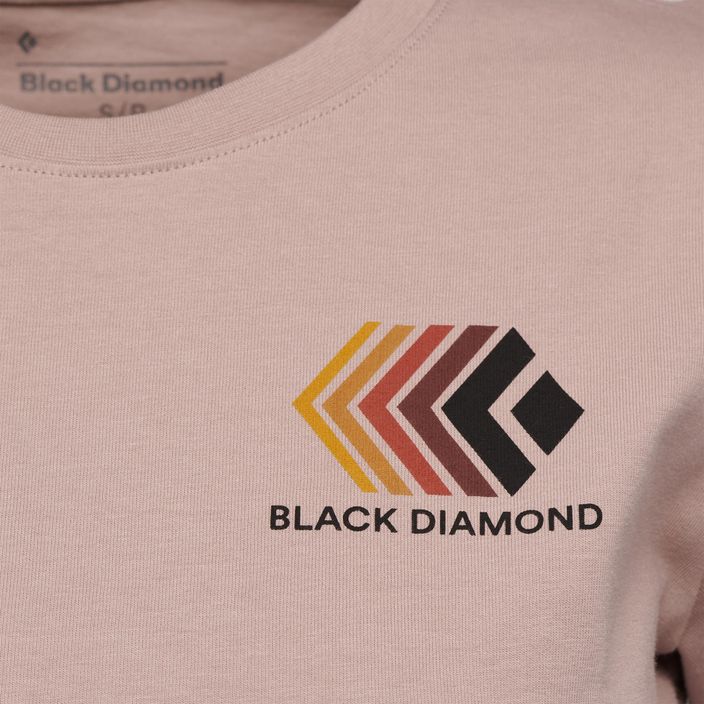 Moteriški marškinėliai Black Diamond Faded Crop pale mauve 6