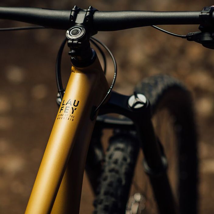 Orbea kalnų dviratis Laufey H10 beige 2023 N25017LX 10