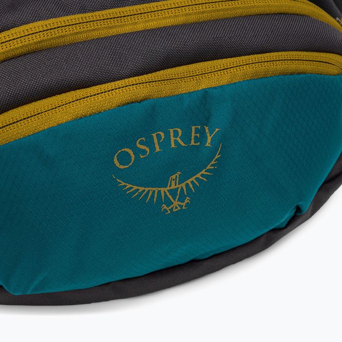 Rankinė ant juosmens Osprey Daylite Waist deep peyto green/tunnel vision 6