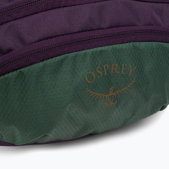 Rankinė ant juosmens Osprey Daylite Waist axo green/enchantment purple 6