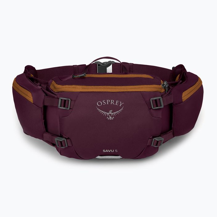 Dviračio krepšys Osprey Savu 5 aprium purple