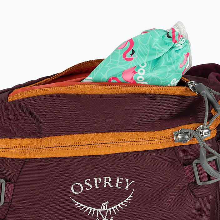 Dviračio krepšys Osprey Savu 5 aprium purple 8