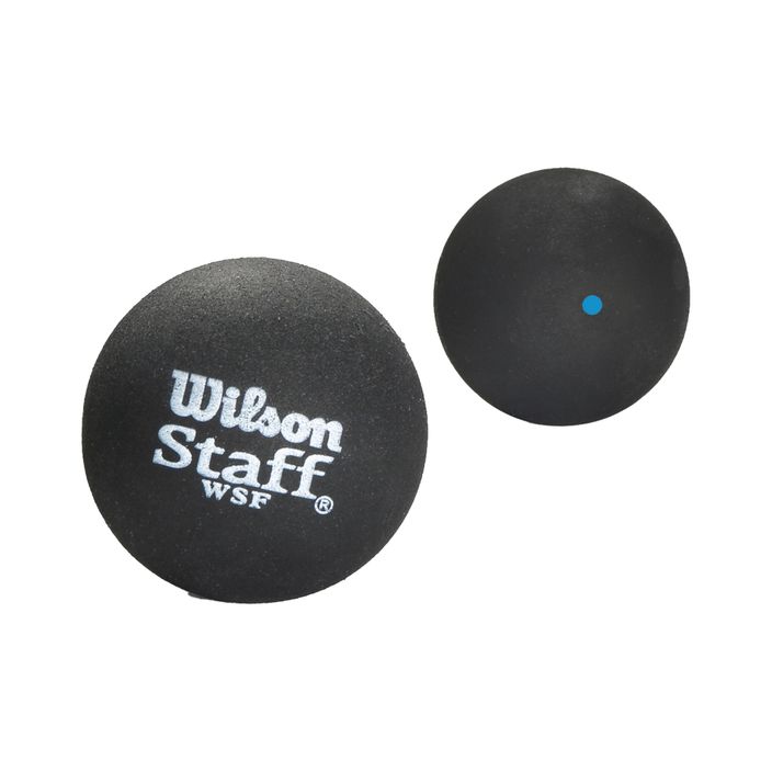 Wilson Staff skvošo kamuoliukas Bl Dot 2 vnt. juodas WRT617500+. 2