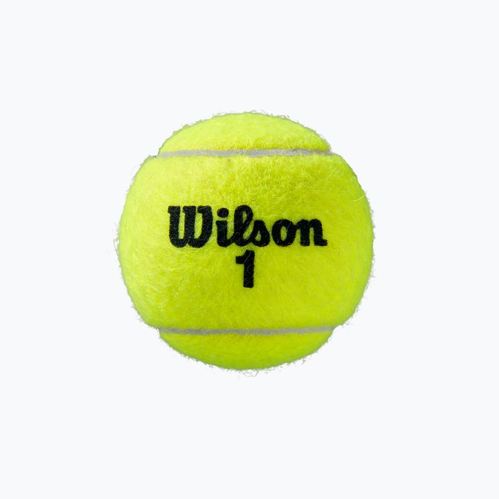 Wilson Roland Garros All Ct teniso kamuoliukai 3 vnt. geltoni WRT126400 2