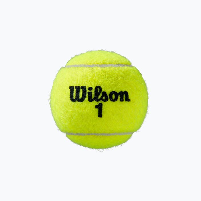 Wilson Roland Garros Clay Ct teniso kamuoliukai 4 vnt. geltoni WRT115000 3