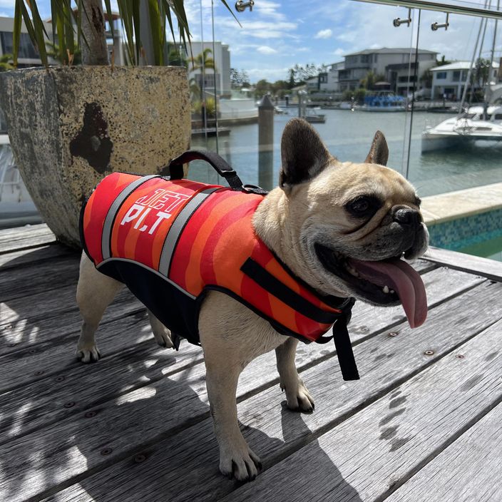 Šuns saugos liemenė Jetpilot Dog PFD red 2