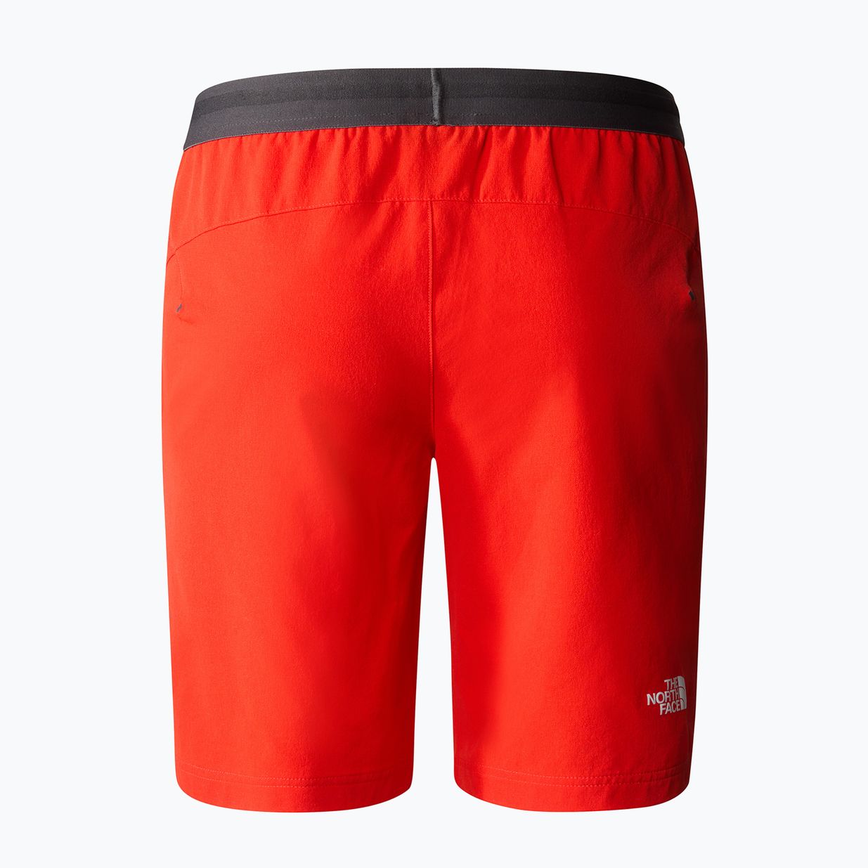 Vyriški trekingo šortai The North Face AO Woven red NF0A5IMM15Q1 6