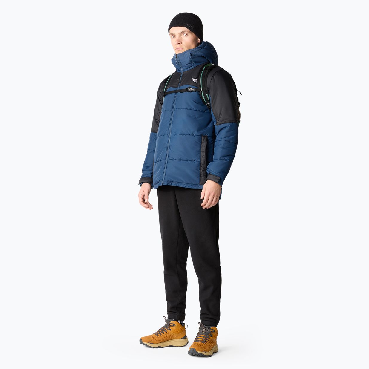 Vyriškos kelnės The North Face 100 Glacier black 2