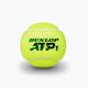 Dunlop ATP teniso kamuoliukai 4 vnt. geltoni 601314 3