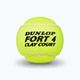 Dunlop Fort Clay Court teniso kamuoliukai 4 vnt. geltonos spalvos 601318 3