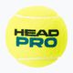 HEAD Pro teniso kamuoliukai 4 vnt. geltoni 571604 2