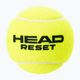 HEAD teniso kamuoliukai 4B Reset 6DZ 4 vnt. žali 575034 2