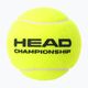 HEAD Championship teniso kamuoliukai 4 vnt. geltoni 575204 2