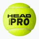 Padelio kamuoliukai HEAD 3B HEAD Pro 3 vnt. 2