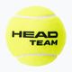 HEAD Team teniso kamuoliukai 4 vnt. geltoni 575704 2