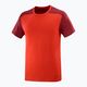 Vyriški Salomon Essential Colorbloc trekingo marškinėliai raudoni LC1716000