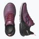 Moteriški trekingo batai Salomon Outpulse GTX purple L41689700 14