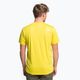 Vyriški treniruočių marškinėliai The North Face Reaxion Easy yellow NF0A4CDV7601 4