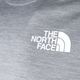 Vyriški trekingo marškinėliai The North Face Ma grey NF0A5IEUGAU1 9