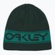 Oakley TNP apverčiama kepurė žalia FOS901066 4