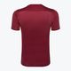 Vyriški futbolo marškinėliai Nike Dri-FIT Park VII team red/white 2