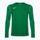 Vyriški futbolo marškinėliai ilgomis rankovėmis Nike Dri-FIT Park 20 Crew pine green/white/white