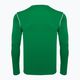 Vyriški futbolo marškinėliai ilgomis rankovėmis Nike Dri-FIT Park 20 Crew pine green/white/white 2