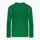 Vaikiškas futbolo džemperis Nike Dri-FIT Park 20 Crew pine green/white/white 2