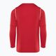 Vaikiškas futbolo džemperis Nike Dri-FIT Park 20 Crew university red/white/white 2