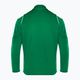 Vaikiškas futbolo džemperis Nike Dri-FIT Park 20 Knit Track pine green/white/white 2