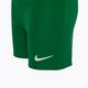 Vaikiškas futbolo komplektas Nike Dri-FIT Park Little Kids pine green/pine green/white 5