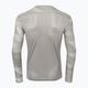 Vyriški vartininko marškinėliai Nike Dri-FIT Park IV Goalkeeper pewter grey/white/black 2