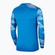 Vyriški Nike Dri-Fit Park IV futbolo marškinėliai, mėlyni CJ6066-463 2