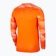 Vyriški Nike Dri-Fit Park IV futbolo marškinėliai oranžinės spalvos CJ6066-819 2
