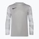 Vaikiški vartininko marškinėliai Nike Dri-FIT Park IV Goalkeeper pewter grey/white/black