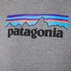Patagonia P-6 Logo Uprisal džemperis su gobtuvu 7