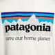 Moteriški Patagonia P-6 Mission Organic beržiniai balti trekingo marškinėliai 6