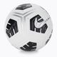 Nike Club Elite Team futbolo kamuolys CU8053-100 dydis 5 2