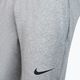 Vyriškos treniruočių kelnės Nike Pant Taper pilkos spalvos CZ6379-063 3