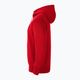 Vyriškas džemperis Nike Park 20 Full Zip Hoodie university red/white/white 3