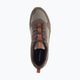 Vyriški batai Merrell Alpine Sneaker bracken 10