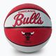 Wilson NBA Team Retro Mini Chicago Bulls krepšinio kamuolys WTB3200XBCHI dydis 3