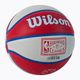 Wilson NBA Team Retro Mini Detroit Pistons krepšinio kamuolys WTB3200XBDET 3 dydis 2