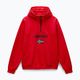 Vyriškas džemperis Napapijri Burgee Half Zip Hooded 2.0 red goji 5