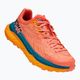 Moteriški bėgimo bateliai HOKA Tecton X camellia/blue coral 7