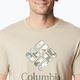 Columbia Rapid Ridge Graphic vyriški trekingo marškinėliai beige 1888813273 3